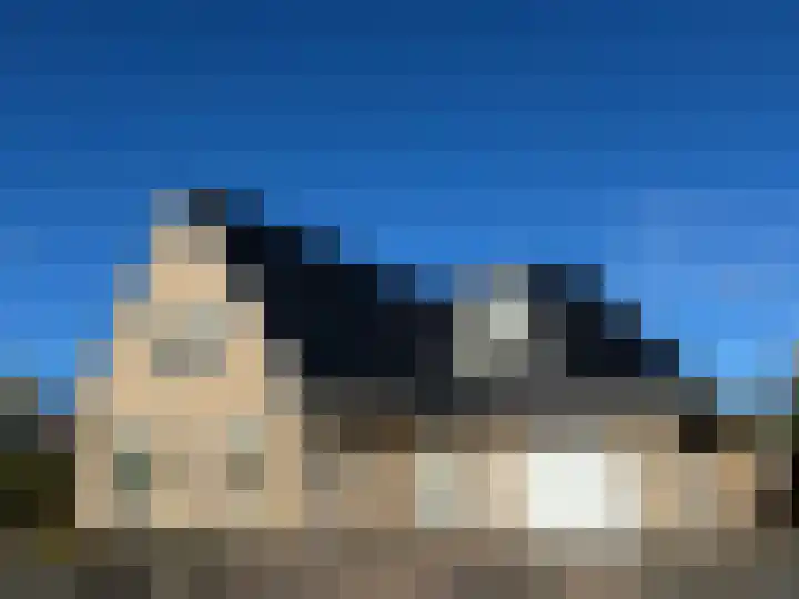 Duiker 16 Sneek thumbnail 14