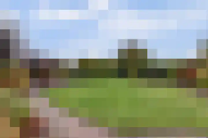 Duiker 16 Sneek thumbnail 15