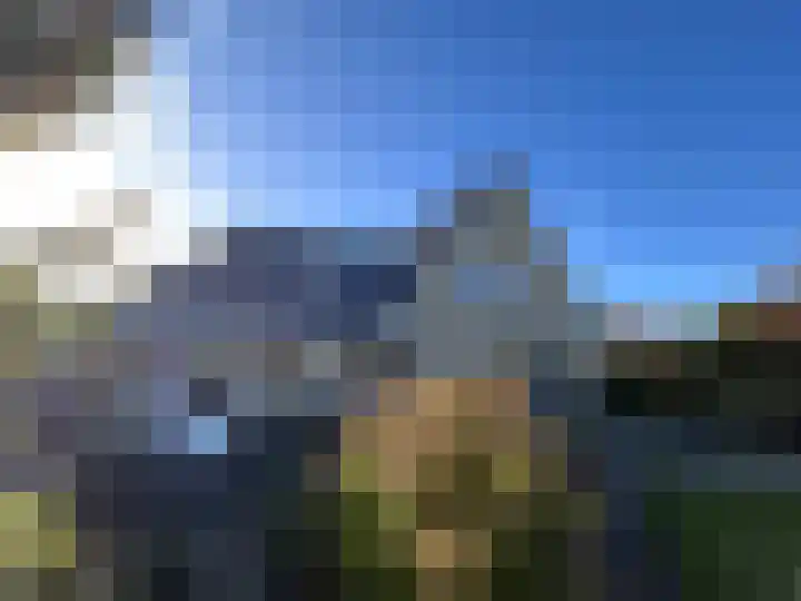 Duiker 16 Sneek thumbnail 22