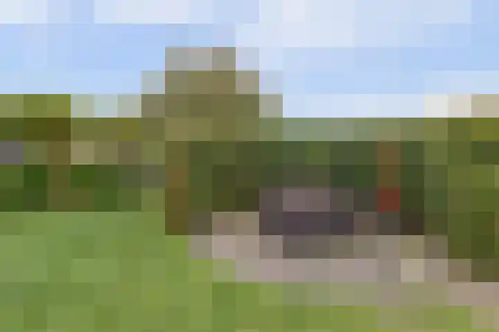 Duiker 16 Sneek thumbnail 23