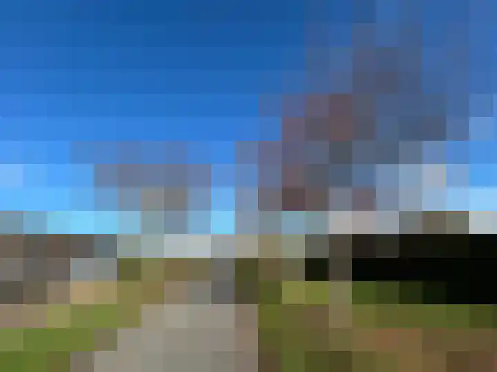 Duiker 16 Sneek thumbnail 25