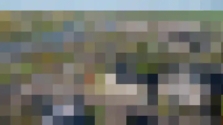 Duiker 16 Sneek thumbnail 26