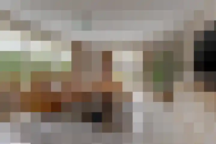 Duiker 16 Sneek thumbnail 29