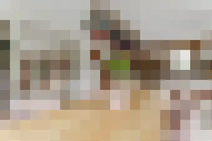 Duiker 16 Sneek thumbnail 32