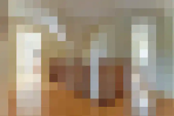 Duiker 16 Sneek thumbnail 42