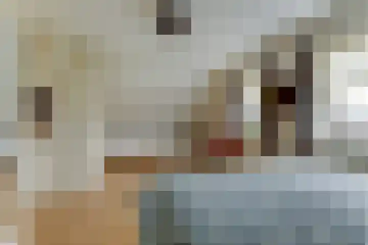Duiker 16 Sneek thumbnail 44