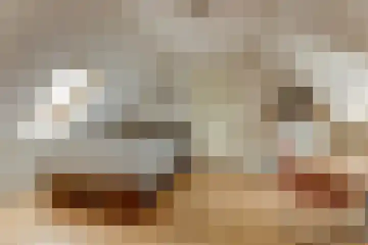 Duiker 16 Sneek thumbnail 46