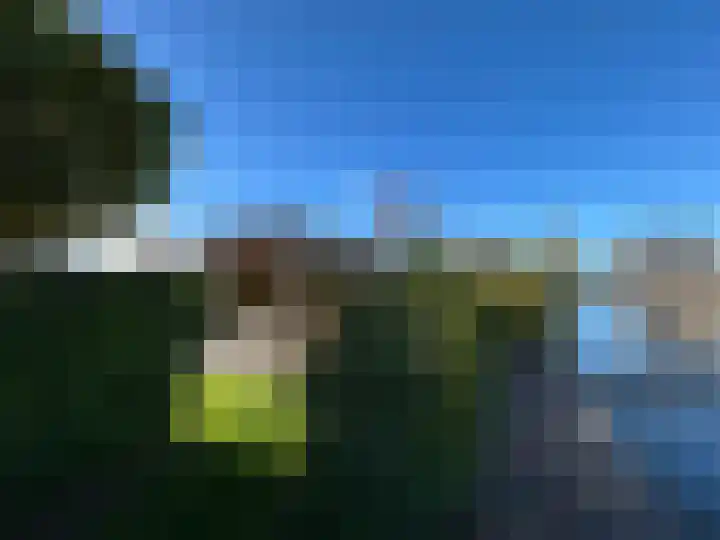 Duiker 16 Sneek thumbnail 5