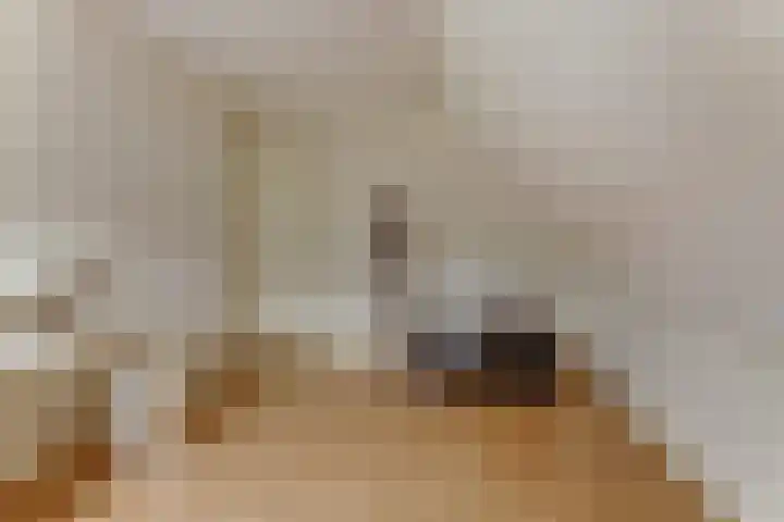 Duiker 16 Sneek thumbnail 50