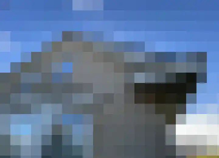 Duiker 16 Sneek thumbnail 55