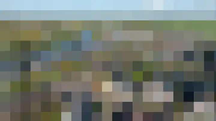Duiker 16 Sneek thumbnail 62
