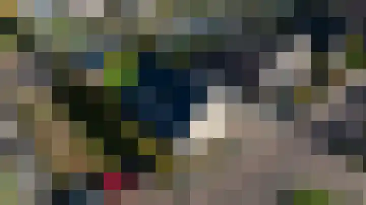 Duiker 16 Sneek thumbnail 8