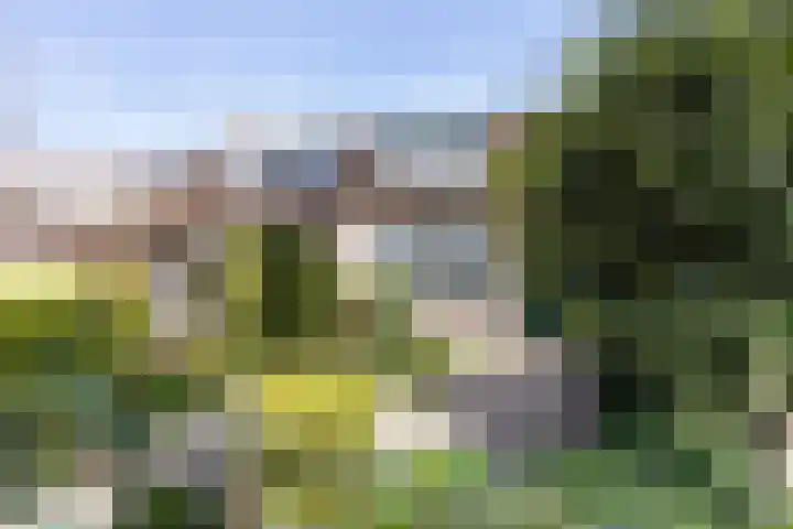 Duiker 42 Grootebroek thumbnail 4