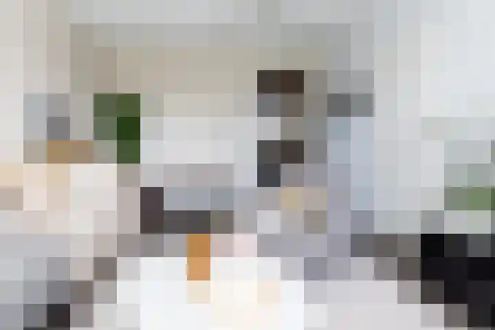 Duiker 42 Grootebroek thumbnail 9