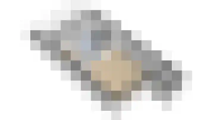 Duiker 50 Grootebroek thumbnail 87