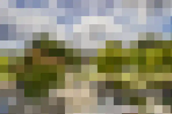Duikersloot 67 Pijnacker thumbnail 27