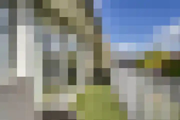 Duikersloot 67 Pijnacker thumbnail 28