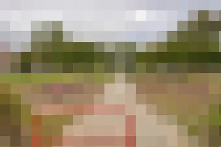 Duikersloot 67 Pijnacker thumbnail 31