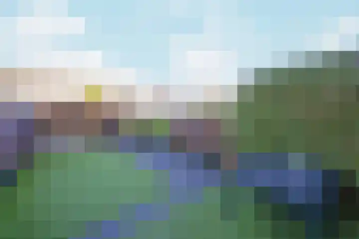 Duikersloot 85 Pijnacker thumbnail 13
