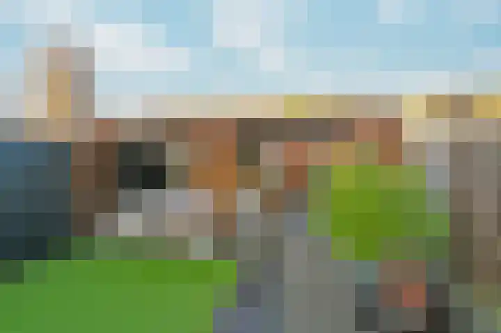 Duikersloot 85 Pijnacker thumbnail 15