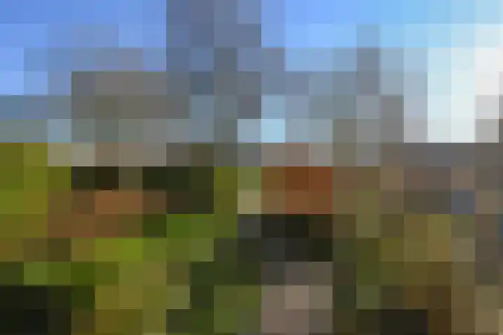 Duikersloot 85 Pijnacker thumbnail 33