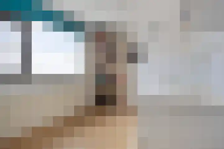Duim 48 Beuningen Gld thumbnail 14