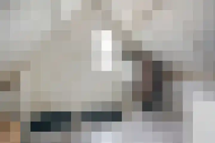 Duim 48 Beuningen Gld thumbnail 19