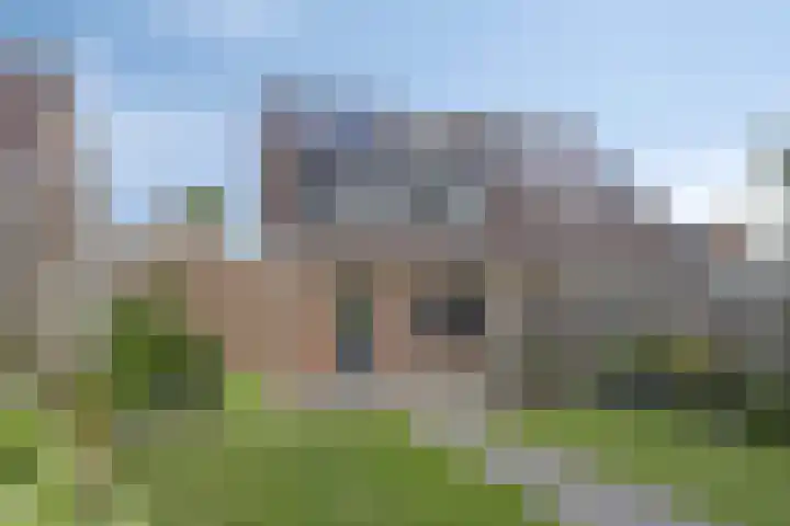Duim 48 Beuningen Gld thumbnail 26