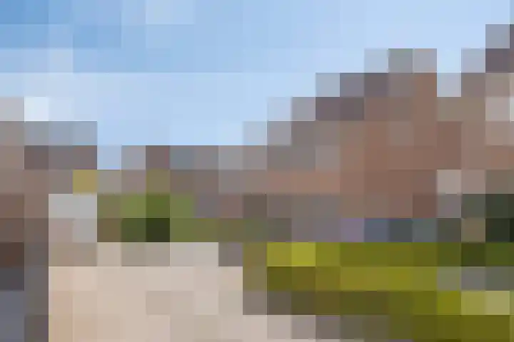 Duim 48 Beuningen Gld thumbnail 28