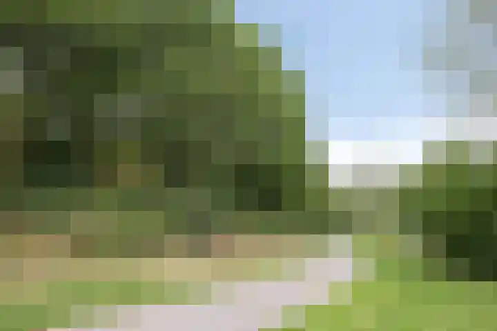 Duim 48 Beuningen Gld thumbnail 30