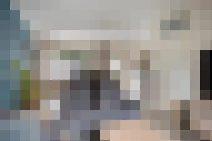 Duim 48 Beuningen Gld thumbnail 4