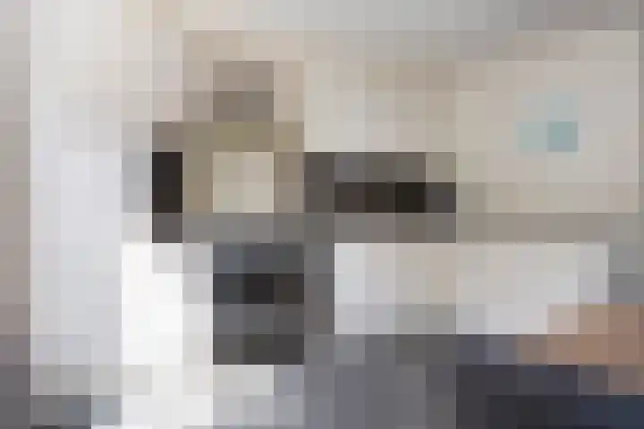 Duim 48 Beuningen Gld thumbnail 5