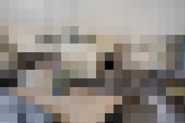 Duim 48 Beuningen Gld thumbnail 7