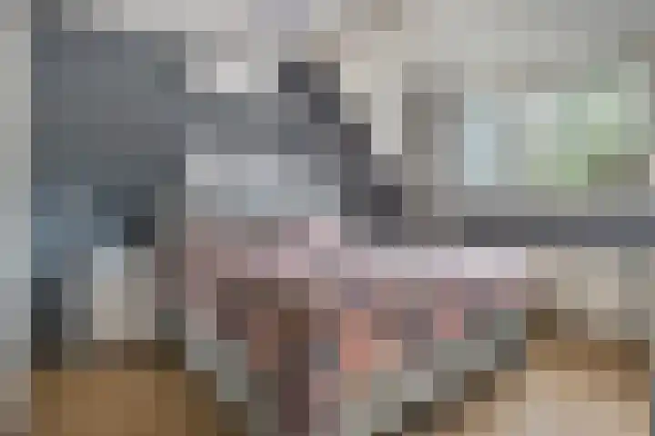 Duim 48 Beuningen Gld thumbnail 9