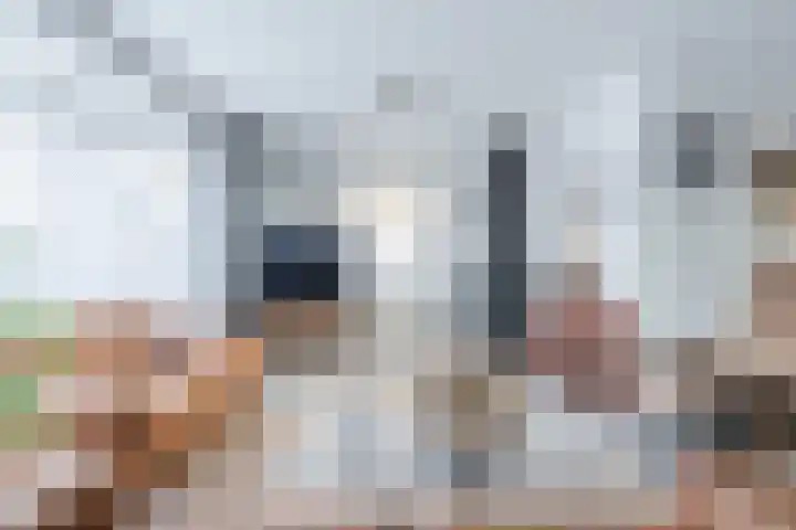 Duimeind 7 Best thumbnail 10