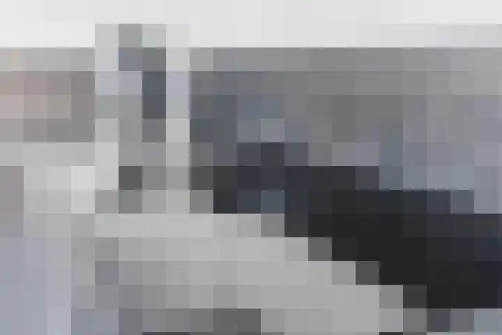 Duimeind 7 Best thumbnail 18