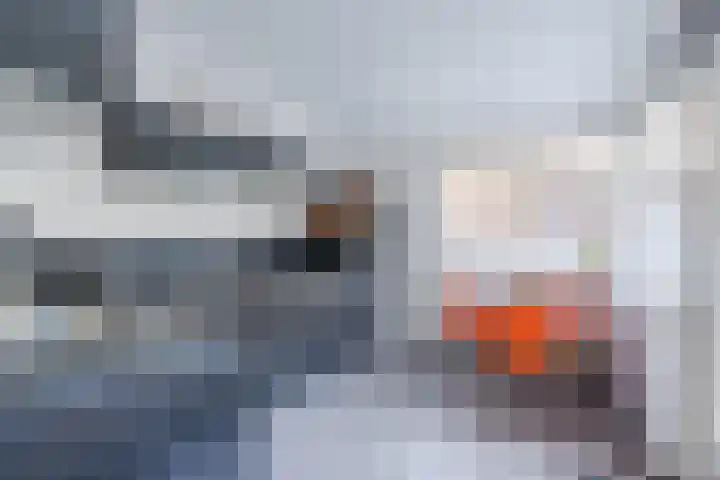 Duimeind 7 Best thumbnail 4