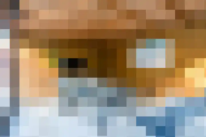 Duimeind 7 Best thumbnail 40