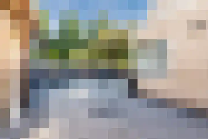 Duimeind 7 Best thumbnail 42