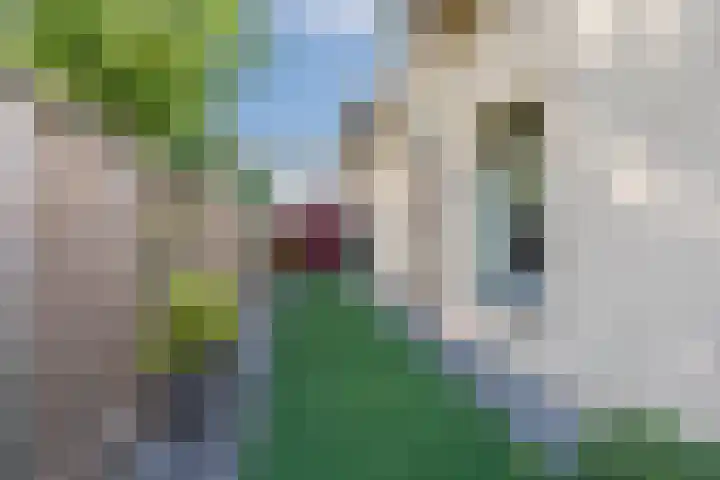 Duimeind 7 Best thumbnail 43