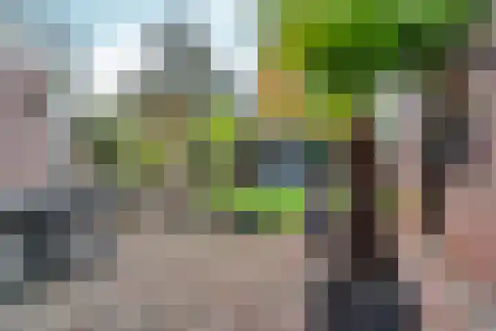 Duimeling 3 Angeren thumbnail 32