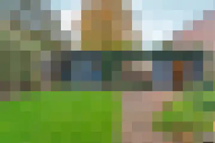 Duimeling 3 Angeren thumbnail 33