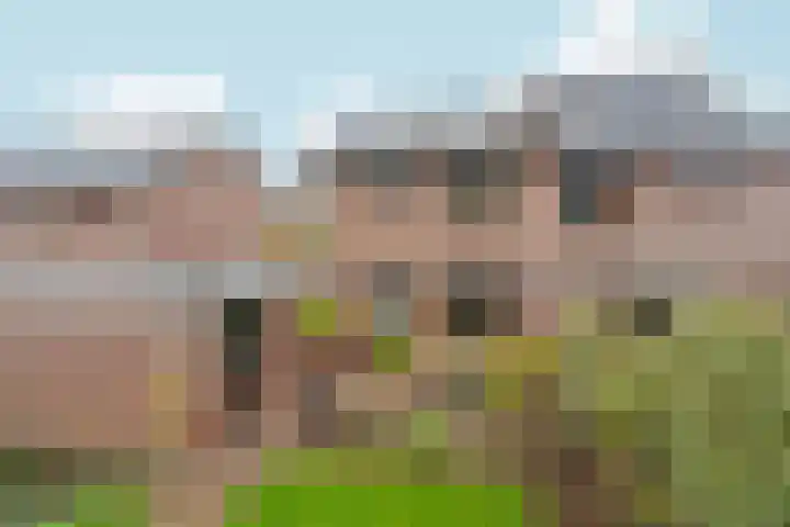 Duimeling 3 Angeren thumbnail 35