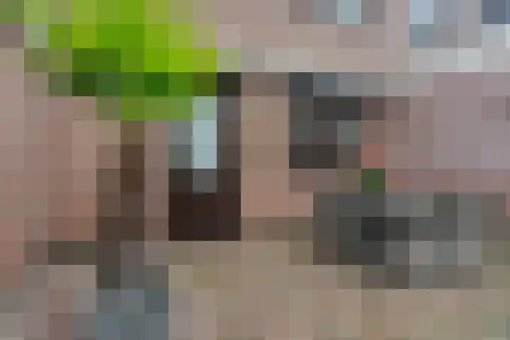 Duimeling 3 Angeren thumbnail 37