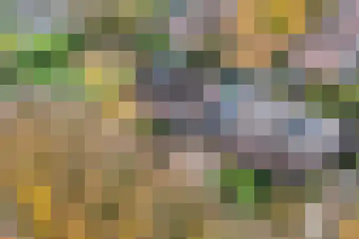 Duimeling 3 Angeren thumbnail 44