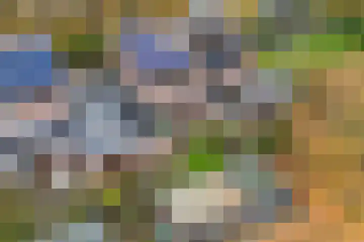 Duimeling 3 Angeren thumbnail 47