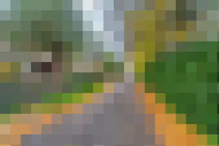 Duimeling 3 Angeren thumbnail 48