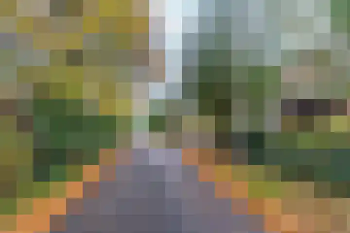 Duimeling 3 Angeren thumbnail 49