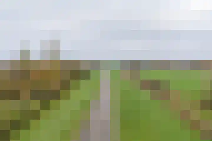 Duimeling 3 Angeren thumbnail 50