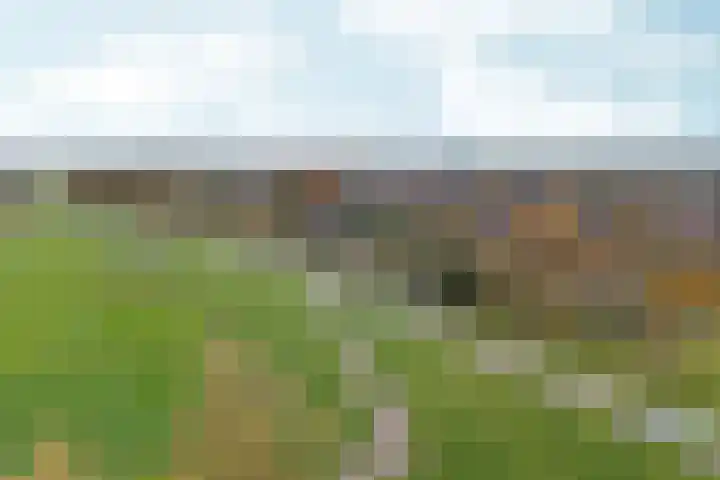 Duimeling 3 Angeren thumbnail 52